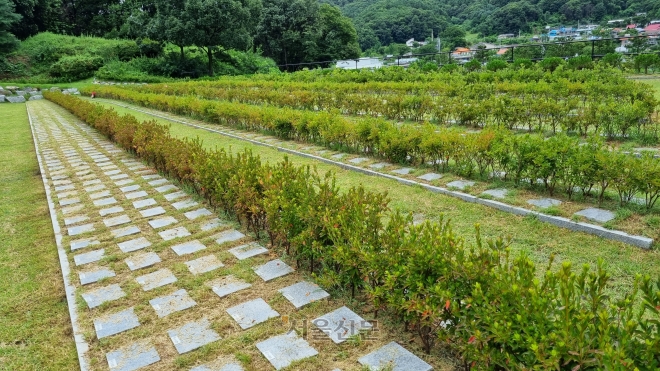 경기도 소재 한 사설 수목장에 있는 잔디장 풍경