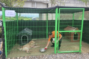 갈 곳 모르는 유기동물 돌봄 나선 완주 소방관