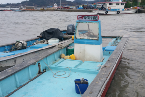 전남 섬지역 응급의료체계 구축 시급