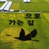 순천의 새 볼거리···작품성·스토리텔링화 ‘뜰 아트’ 7곳 시선 집중