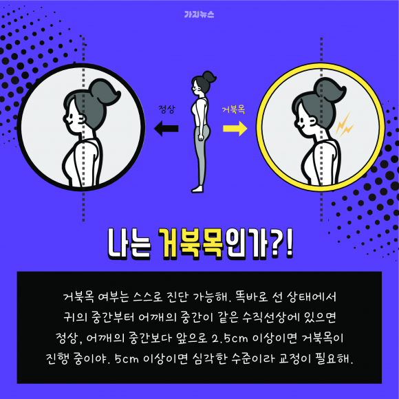 가지뉴스