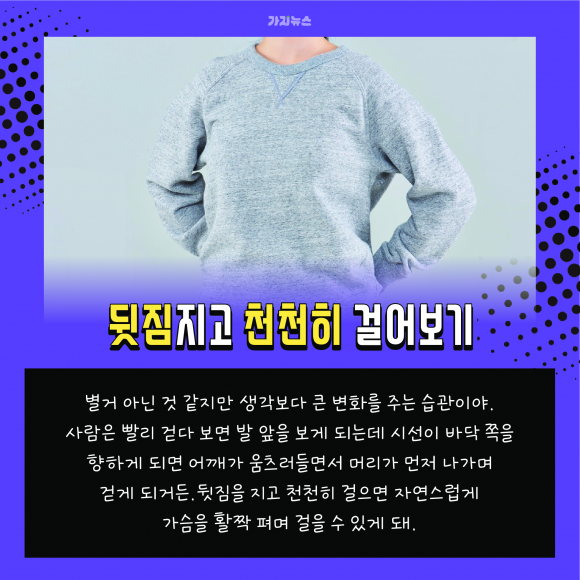 가지뉴스