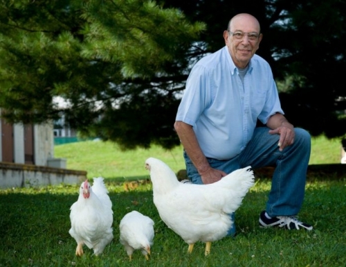 가금류 연구 외길을 걸어온 ‘닭 연구의 교과서’ 폴 시겔 버지니아공과대 명예교수도 황금거위상을 수상했다.  버지니아공과대 제공