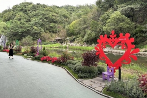 홍제천 산책로에 꽃이 활짝