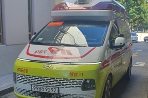 성남 분당 중앙공원서 SUV 차량 돌진…인명피해 없어