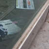 동아줄 절실한 자영업자