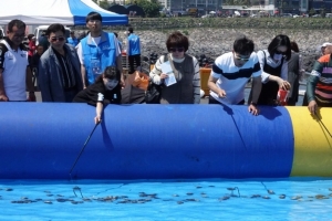 은갈치 맛보고 한라산의 가을 달리고… 이색축제에 빠진다