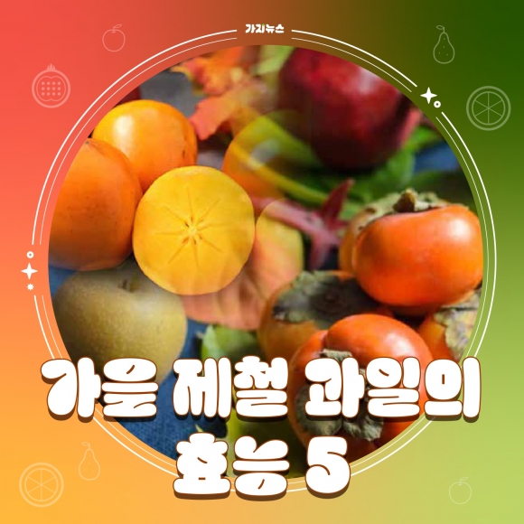 가지뉴스