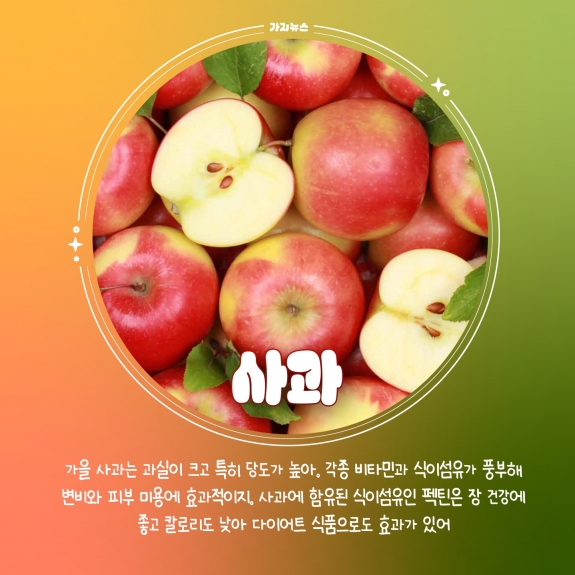 가지뉴스