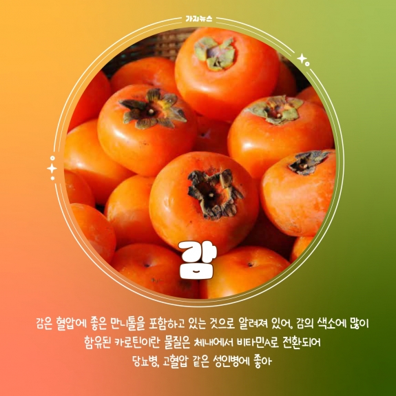 가지뉴스