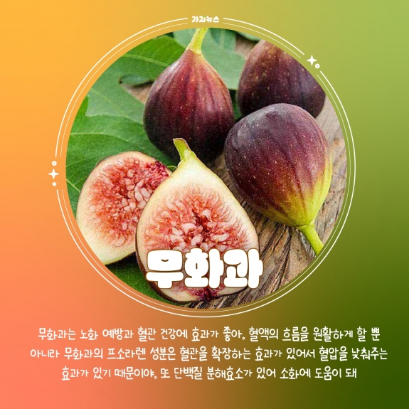 가지뉴스