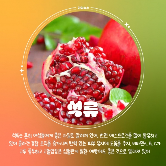 가지뉴스