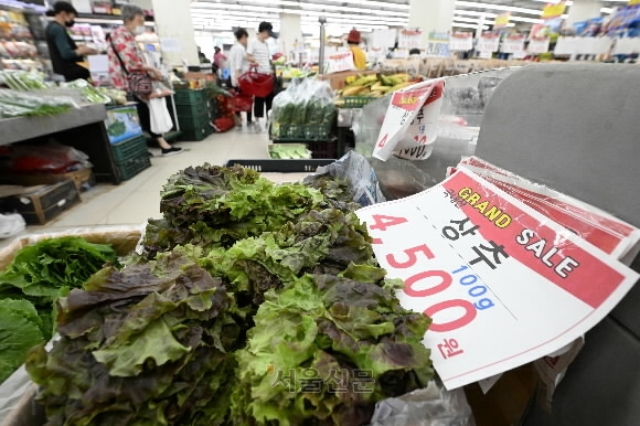 집중호우와 불볕더위 등으로 채소류 가격이 폭등한 가운데 24일 오전 서울 영등포에 한 식자재마트 채소코너에 상추가격이 100g당 4500원으로 표시되어 있다. 2023.7.24. 도준석 기자