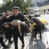 이스라엘·하마스 충돌 사망자 1000명 육박… 헤즈볼라 가세