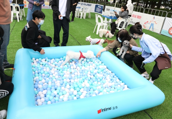 지난해 강남구 대치근린공원에서 열린 반려견 순회놀이터에서 반려견과 보호자들이 프로그램에 참여하고 있다. 강남구 제공