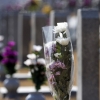 성폭력 범죄자까지… 전과자 4623명 국립묘지 안장됐다