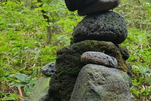 “제주의 돌은 보존자원”… 도외 반출땐 5년 이하 징역