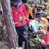 ‘사람 잡는 가을 버섯’…전국 곳곳서 버섯 채취하다 잇따라 사망