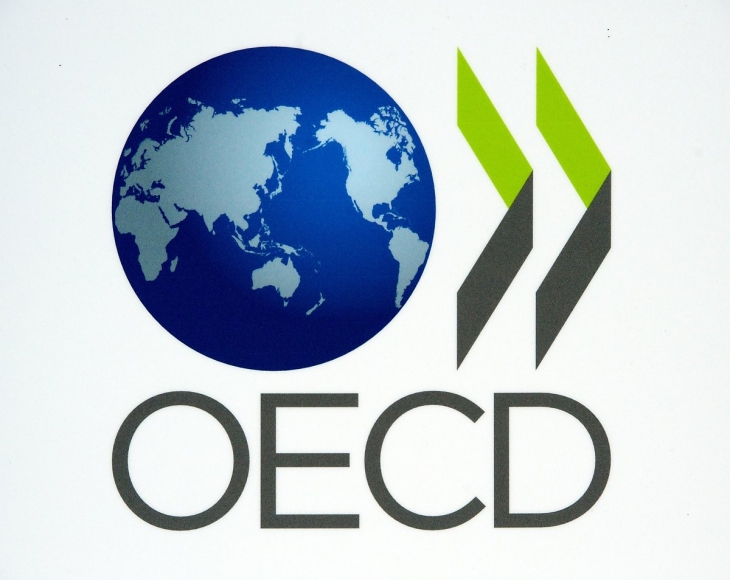경제협력개발기구(OECD) 로고.