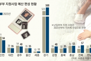 [단독] 지자체에 넘어간 ‘난임부부 지원’…지역 격차에 우는 ‘예비 부모’