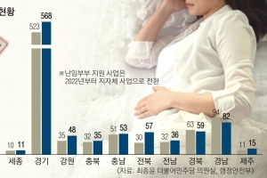 [단독] “난임 지원 많은 데로 옮겨야 하나”… 지역 재정 따라 격차 벌어진다