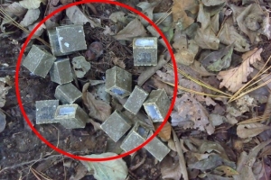 “길에 떨어진 ‘네모난 어묵’ 만지지 마세요”…사각덩어리 정체 뭐길래