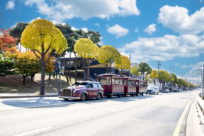 정조로 테마 가로수길. 수원시 제공