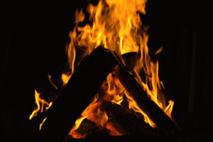 “옆집에 불이 났어요!” 소방차 출동했는데 ‘불멍’ 영상