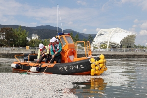 마산항 정어리 집단폐사 원인은 ‘산소부족에 의한 질식사’