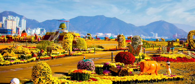 경남 창원시는 우리나라 상업 국화 시배지인 마산 지역 국화 재배의 역사와 우수한 품질을 널리 알리기 위해 매해 가을 국내 최대 국화축제를 개최한다. 지난해 마산 해양신도시 부지에서 열린 제22회 마산국화축제장에 다양한 국화 작품이 설치돼 있다. 창원시 제공