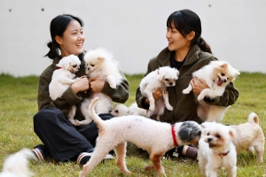 “사지 말고 입양하세요” 새 가족 기다리는 687마리 구조 강아지 [포토多이슈]