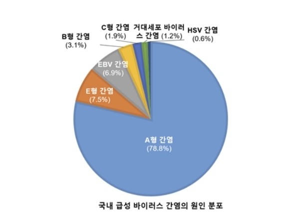 국내 급성 바리러스 간염 원인 분포도. 분당서울대병원 제공