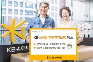 당뇨·고혈압 있는 고령자도 ‘OK’… KB손보, ‘KB 실버암 간편건강보험 Plus’ 출시