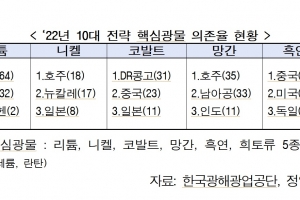 네오디뮴 등 10대 전략 핵심광물 중 7개 광물의 중국 수입의존도 50%넘어