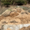 파헤쳐진 독립운동가 묘…북한산 ‘멧돼지 습격’에 묘역 비상