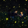 ‘무주반딧불 축제’ 세계적인 친환경 축제로 인정받다