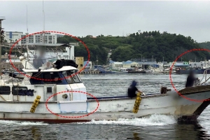 “벌금 내도 남는 장사”… 어민 삶 파고든 ‘직업적 고래잡이’