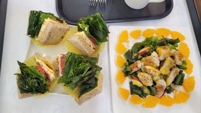 전남 순천의 한 카페에서 판매하는 흑하랑 샌드위치와 샐러드.