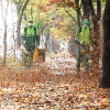 날리는 낙엽 따라 가을도 ‘종종걸음’