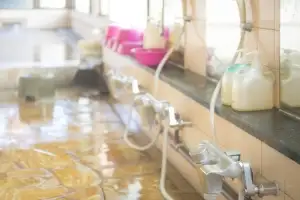 “할 일 했을 뿐” 쉬는 날 목욕탕 간 경찰관, 의식 잃은 60대 CPR로 살렸다