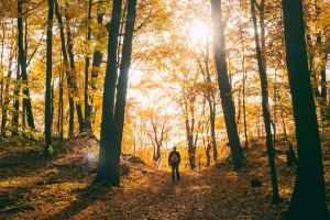 늦가을 고독 씹는 대신 운동해 보세요[유용하 기자의 사이언스 톡]