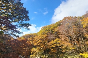 만추… 더 특별해지는 한라산의 가을을 만나다