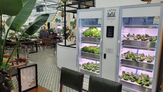 카페 안에 기능성 상추 ‘흑하랑’을 재배하는 밀폐형 식물재배기가 놓여져 있다. 강주리 기자