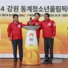 동계청소년올림픽 성화, 개최지 입성
