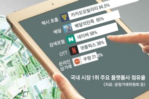 승자 독식 플랫폼 경제… 끼워팔기·알고리즘 조작 등 ‘불공정 꼬리표’