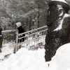 [포토] 제주 한라산 10.7㎝ 눈 펑펑…탐방로 통제