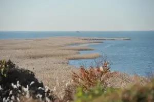 낙동강 하구, 국가도시공원 지정 향한 발걸음…팸투어 개최