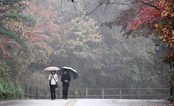 전국적으로 비가 내린 16일 오후 우산을 쓴 시민들이 서울 남산 산책로를 걷고 있다. 2023.11.16. 도준석 기자