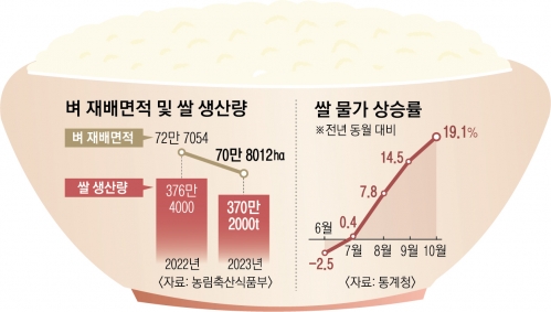벼 재배면적 및 쌀 생산량. 서울신문 DB