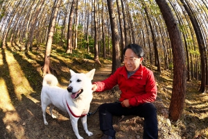 서대문 숲길 산책… 나와 반려견 힐링타임